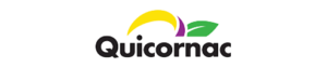 31c-300x63
